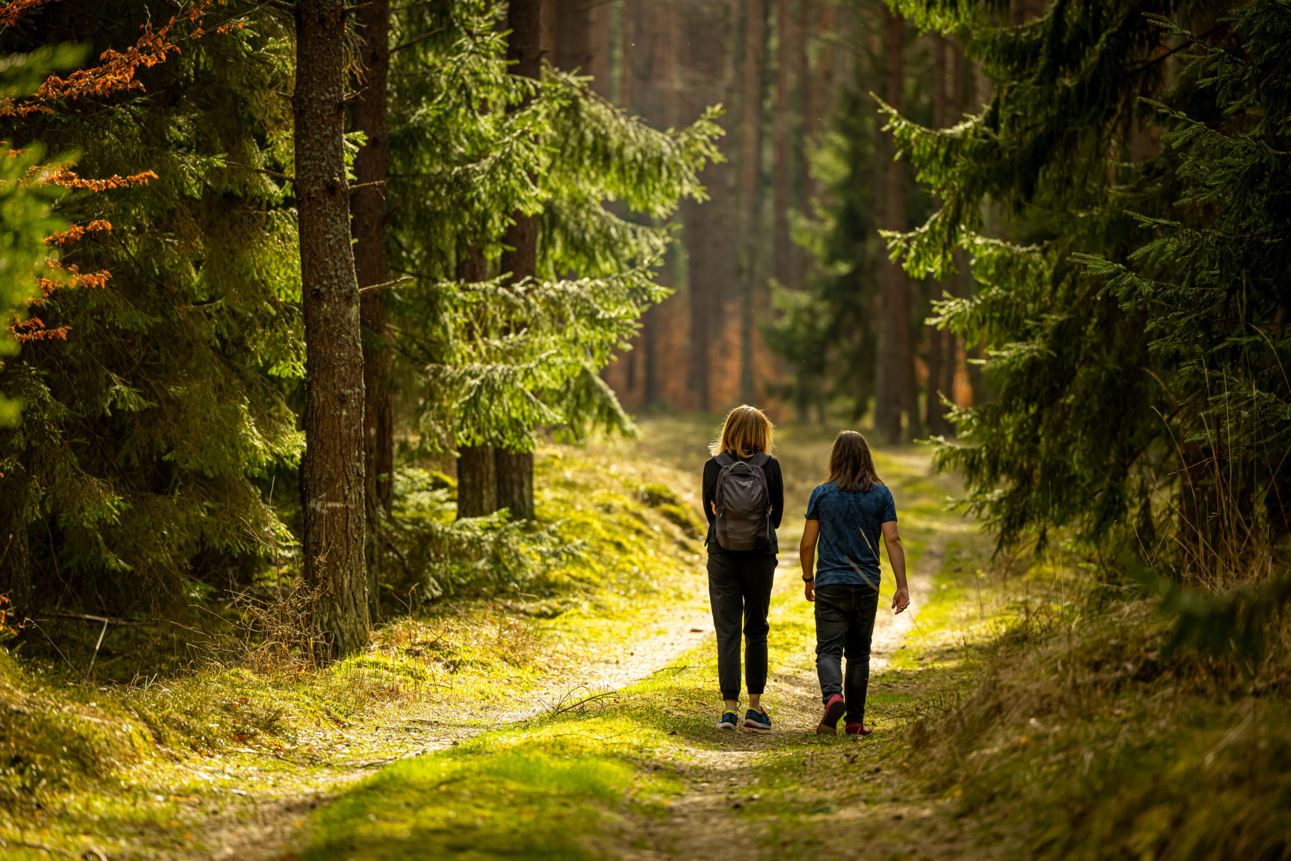 Grief Rituals – Brighton Hospice Services